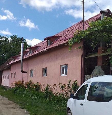Casa Boierului Imbri Villa Cartisoara Ngoại thất bức ảnh