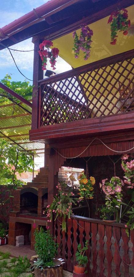 Casa Boierului Imbri Villa Cartisoara Ngoại thất bức ảnh