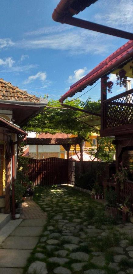 Casa Boierului Imbri Villa Cartisoara Ngoại thất bức ảnh