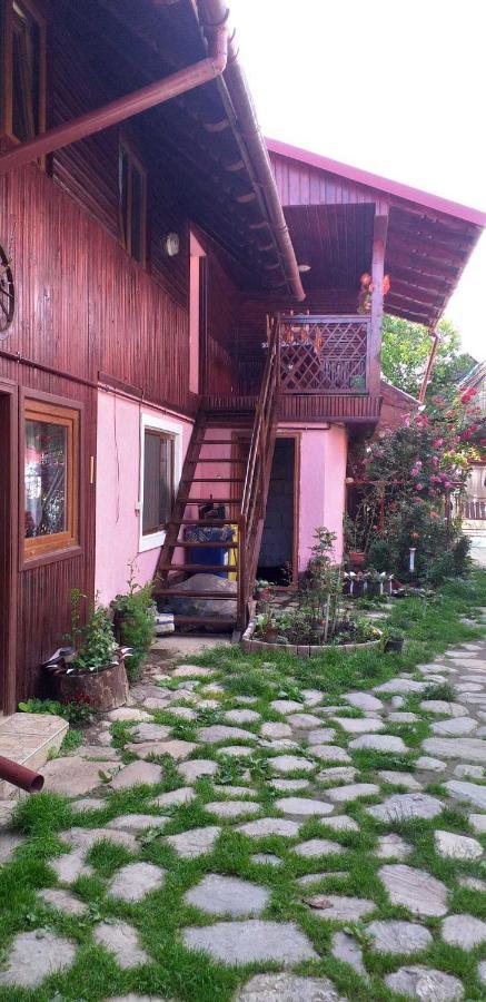 Casa Boierului Imbri Villa Cartisoara Ngoại thất bức ảnh
