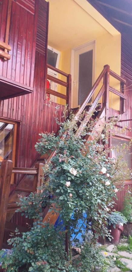 Casa Boierului Imbri Villa Cartisoara Ngoại thất bức ảnh