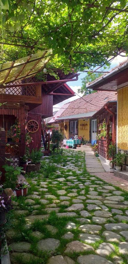Casa Boierului Imbri Villa Cartisoara Ngoại thất bức ảnh