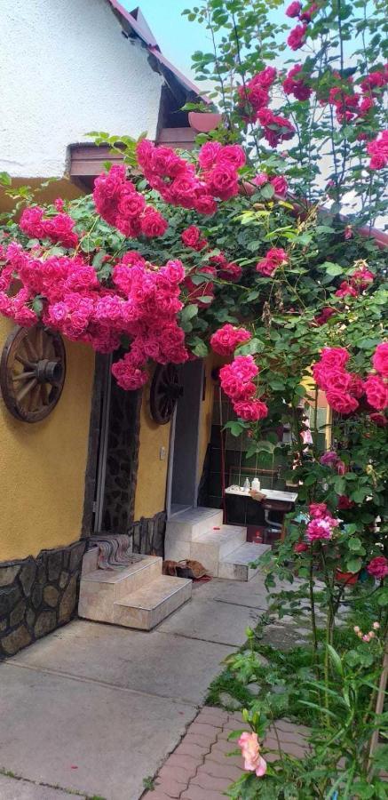 Casa Boierului Imbri Villa Cartisoara Ngoại thất bức ảnh