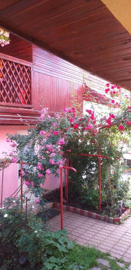 Casa Boierului Imbri Villa Cartisoara Ngoại thất bức ảnh